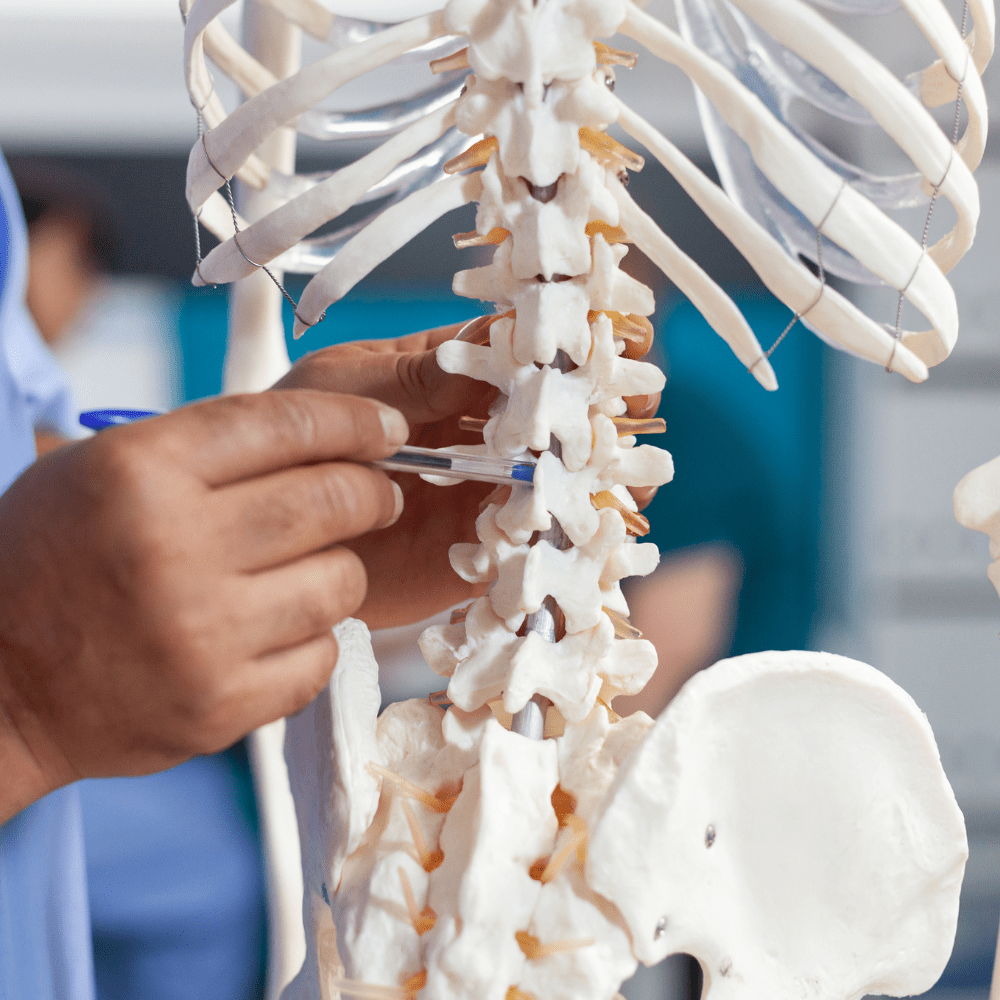 Patient Education, Cameron-Mitchell Osteopaths